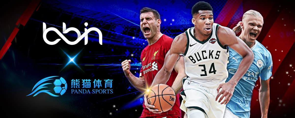 便是他们的